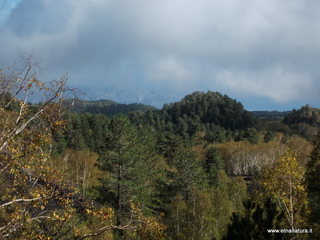 nte Corvo-01-11-2012 11-17-03